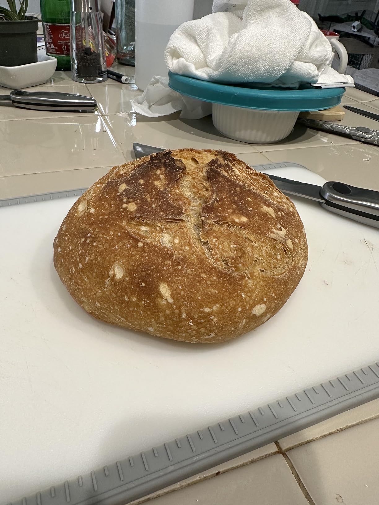 The New Artisan Bread in Five Minutes a Day: The Discovery That Revolutionizes Home Baking customer photo 1