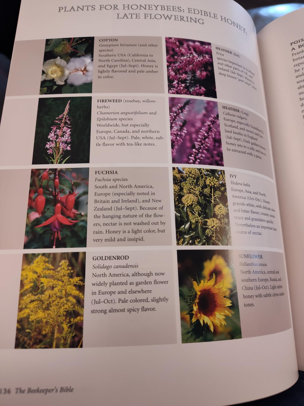 The Beekeeper's Bible: Bees, Honey, Recipes & Other Home Uses (The Backyard Naturalist Series) customer photo 1
