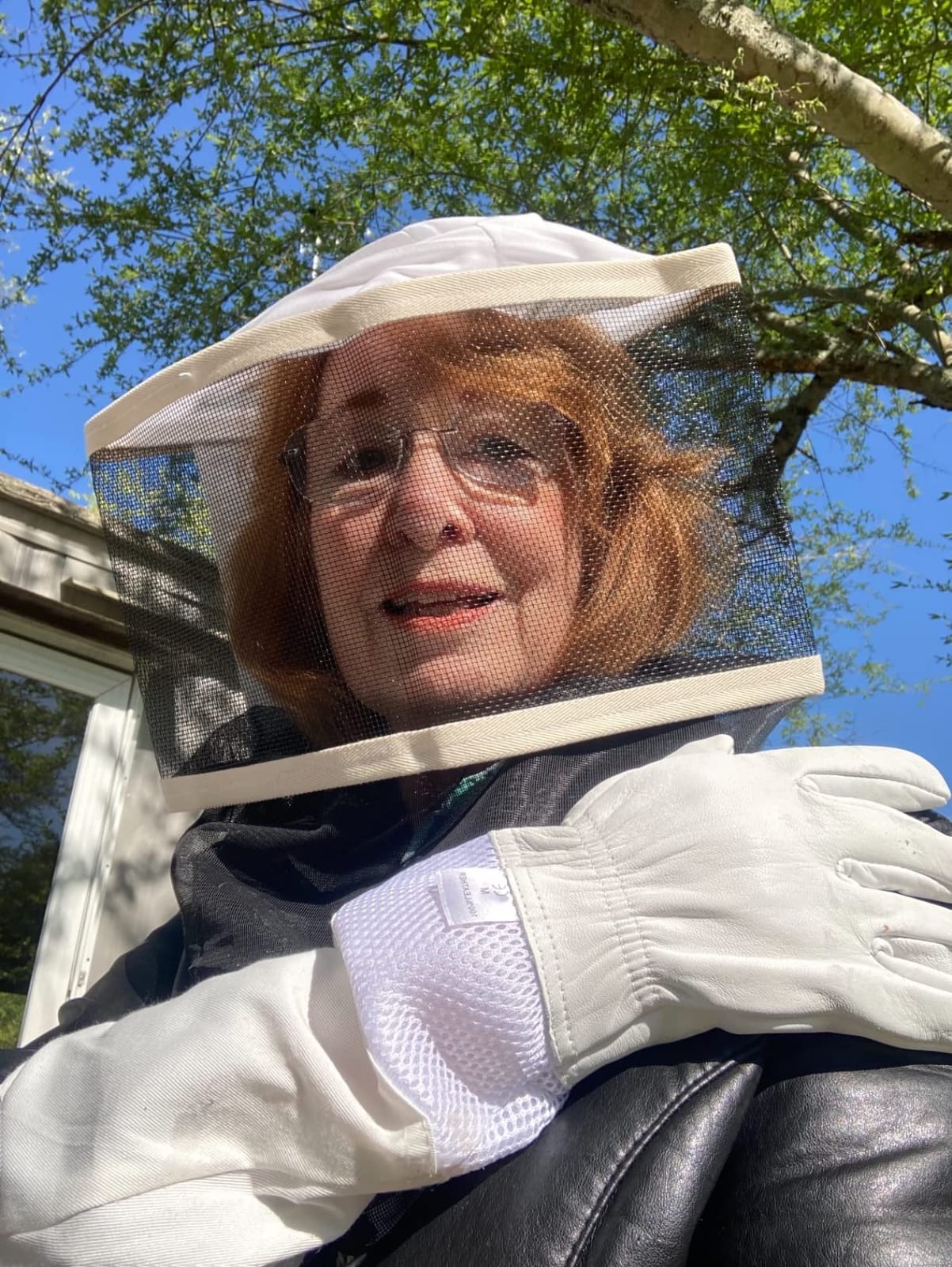 Homegrown Honey Bees: An Absolute Beginner's Guide to Beekeeping Your First Year, from Hiving to Honey Harvest customer photo 1