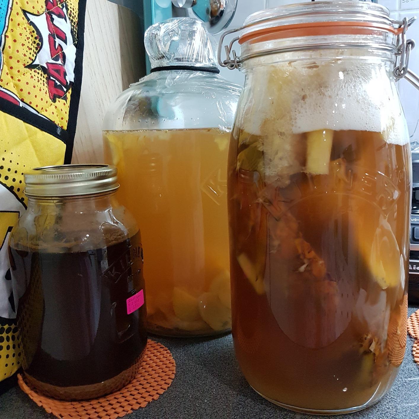 The Wildcrafting Brewer: Creating Unique Drinks and Boozy Concoctions from Nature's Ingredients customer photo 1