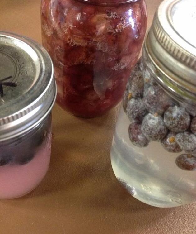 The Wildcrafting Brewer: Creating Unique Drinks and Boozy Concoctions from Nature's Ingredients customer photo 2