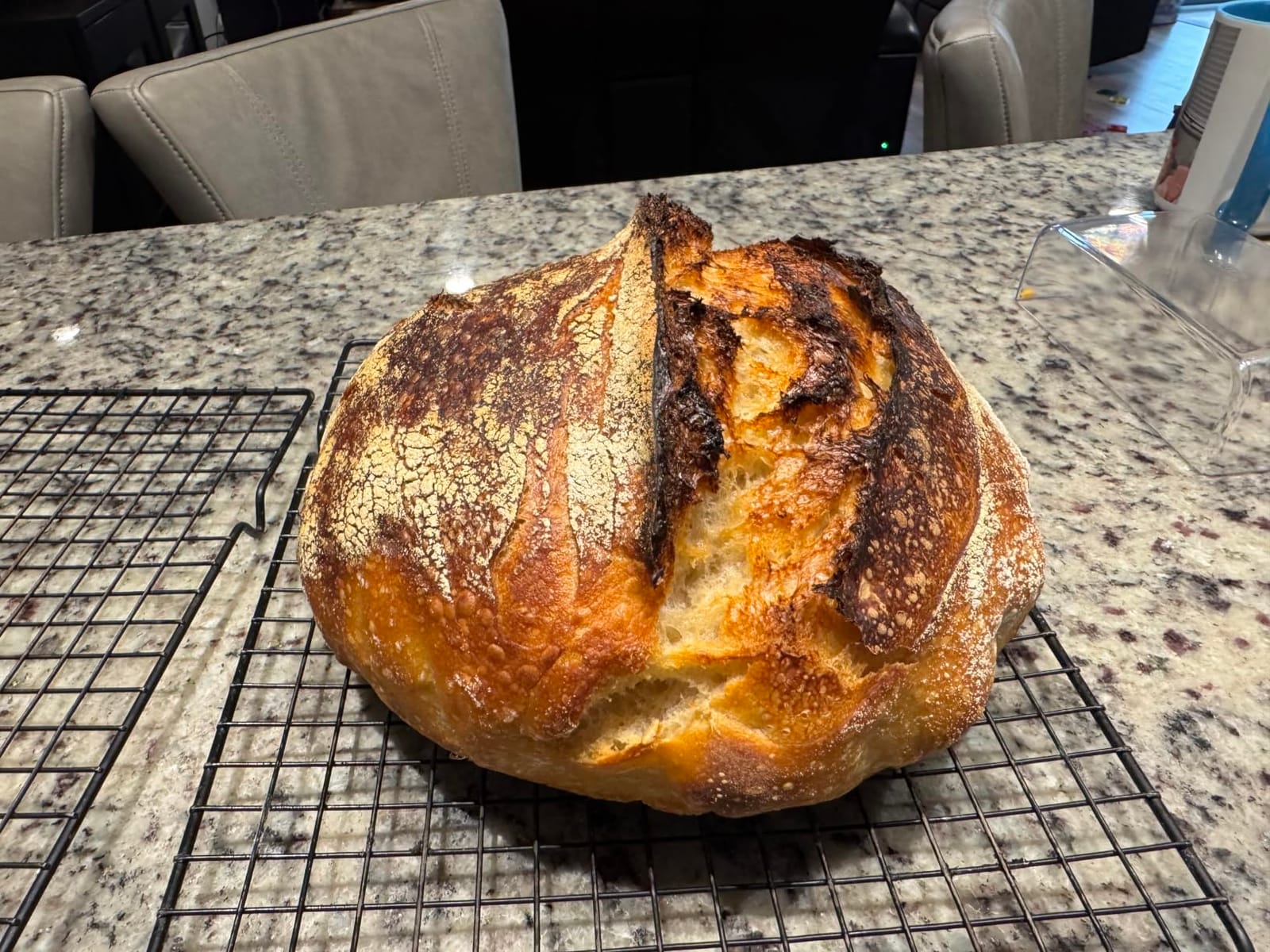 Flour Water Salt Yeast: The Fundamentals of Artisan Bread and Pizza [A Cookbook] customer photo 1