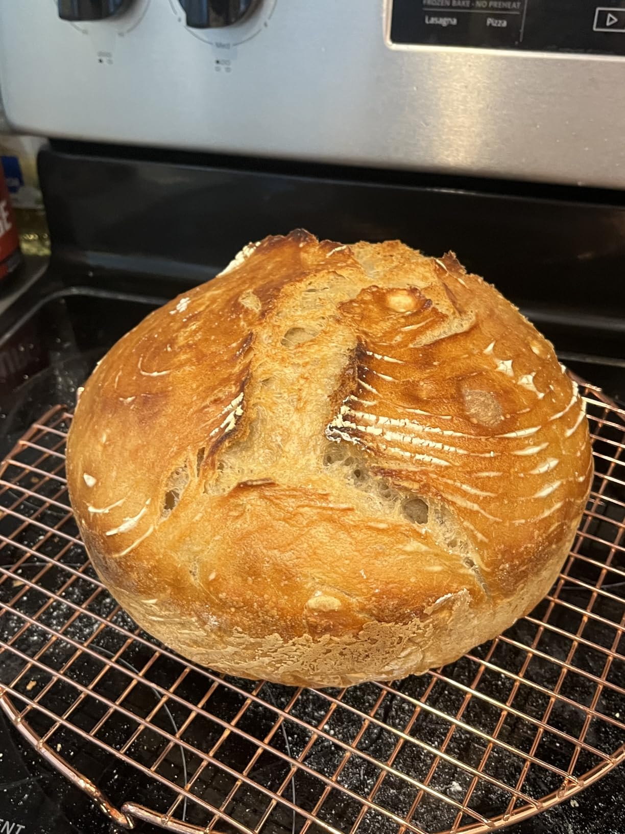Flour Water Salt Yeast: The Fundamentals of Artisan Bread and Pizza [A Cookbook] customer photo 2
