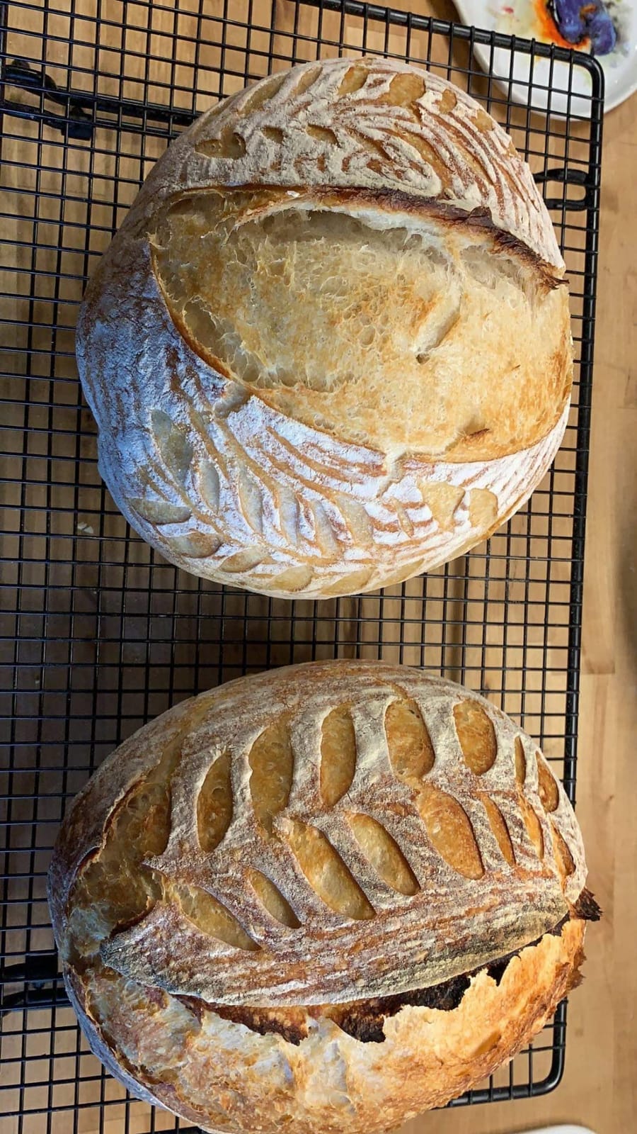 Artisan Sourdough Made Simple: A Beginner's Guide to Delicious Handcrafted Bread with Minimal Kneading customer photo 1