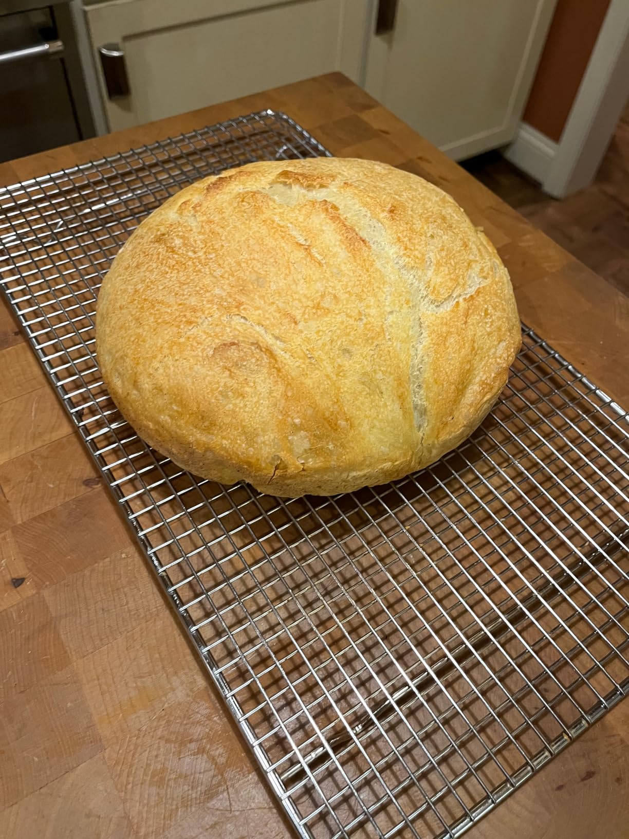 Bread Baking for Beginners: The Essential Guide to Baking Kneaded Breads, No-Knead Breads, and Enriched Breads customer photo 1