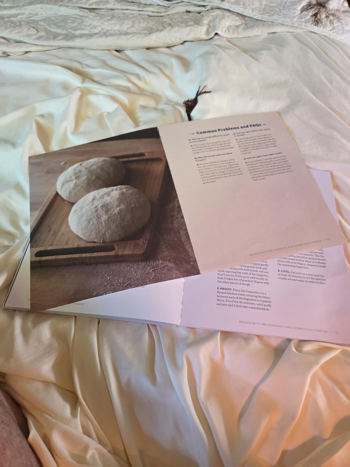 Bread Baking for Beginners: The Essential Guide to Baking Kneaded Breads, No-Knead Breads, and Enriched Breads customer photo 2
