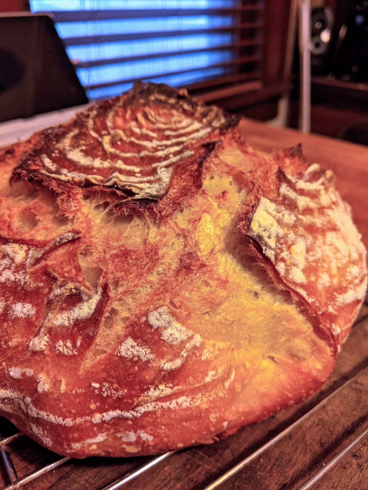 Mastering Bread: The Art and Practice of Handmade Sourdough, Yeast Bread, and Pastry [A Baking Book] customer photo 1