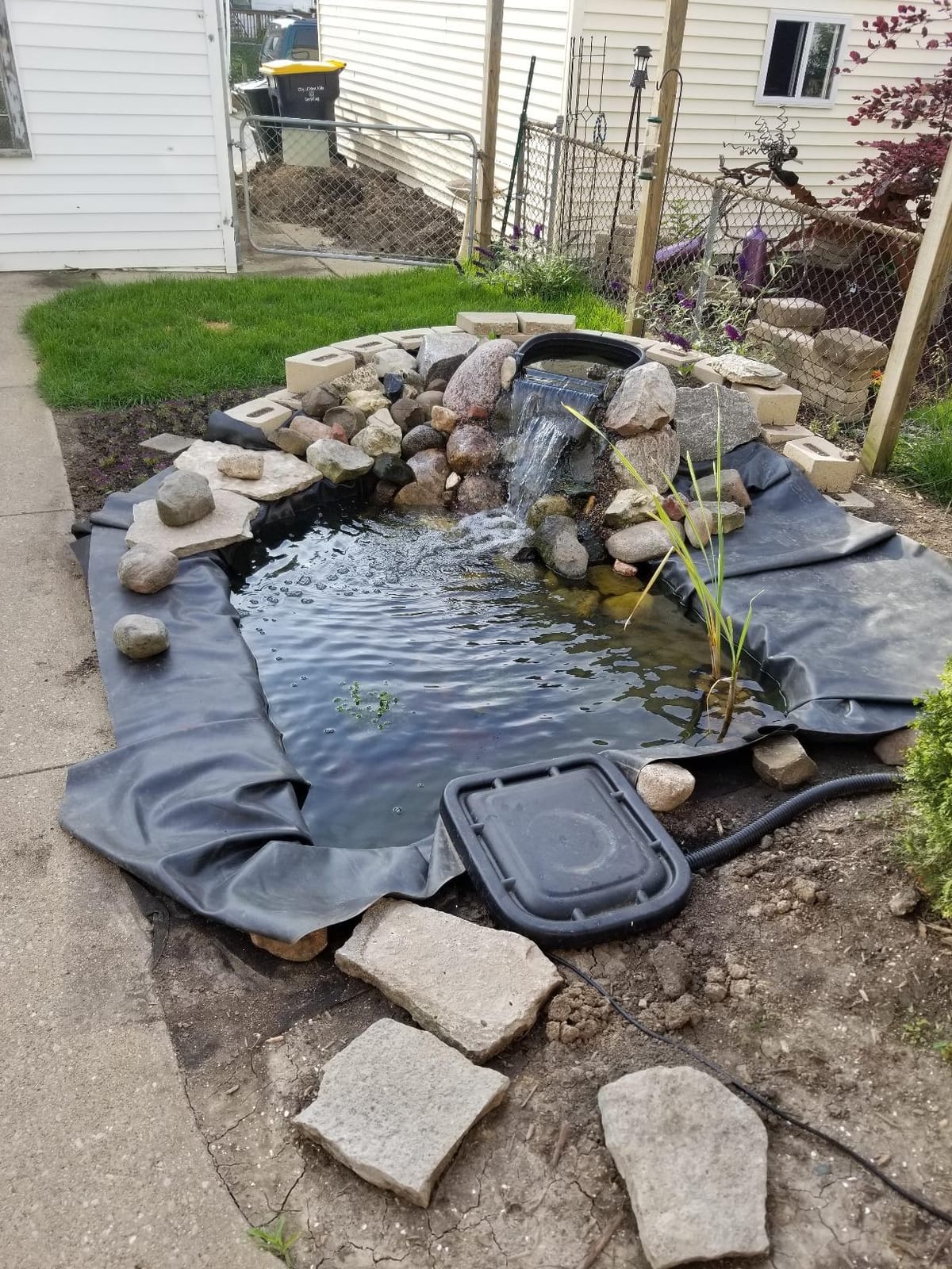 Aquascape DIY Backyard Pond Kit 8 x 11 feet - Complete Water Garden Ecosystem with Pump, Skimmer, and Filter, 99765 customer photo 1