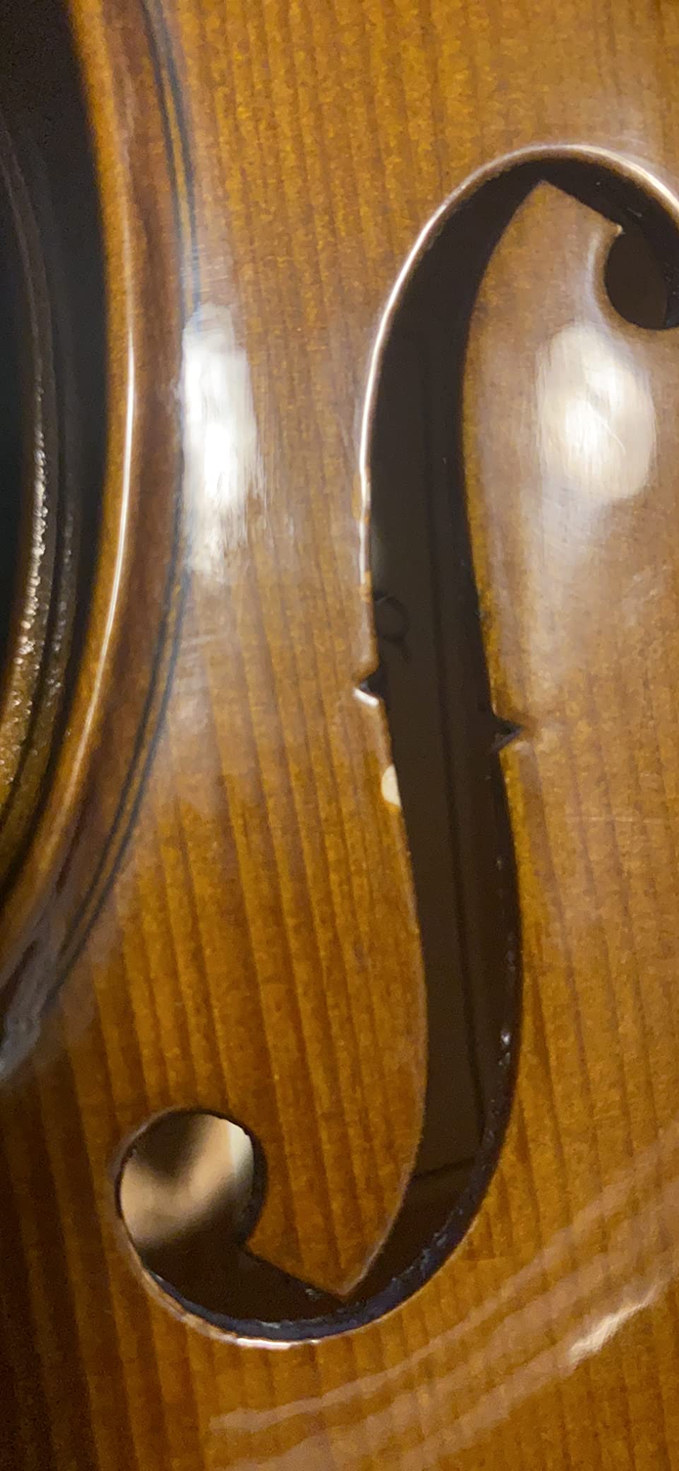 Cremona SV-175 4/4 Premier Student Violin Outfit – Solid Spruce Top, Maple Back, Ebony Fittings, Prelude Strings, Case & Bow for Beginner & Advancing Students customer photo 2