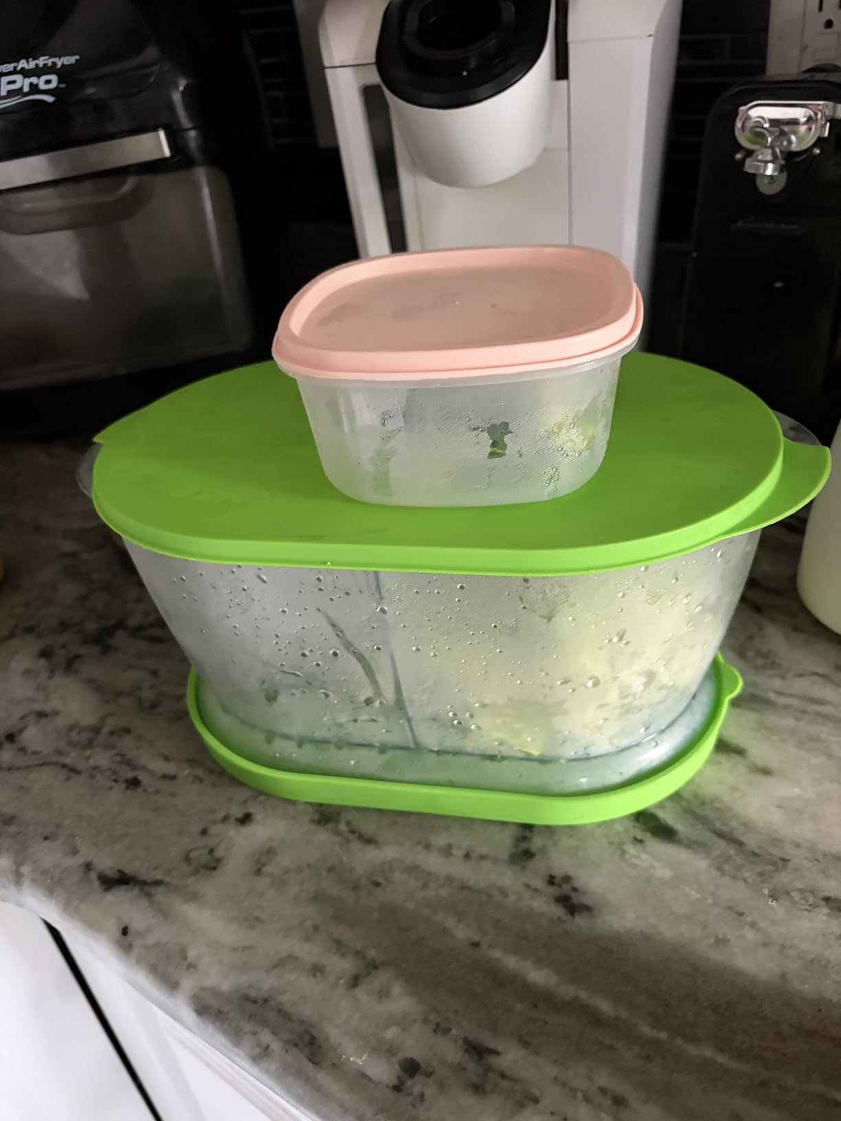 Prep Solutions by Progressive Lettuce Keeper Produce Storage Container, 4.7 Quarts, Green (LKS-06) customer photo 2