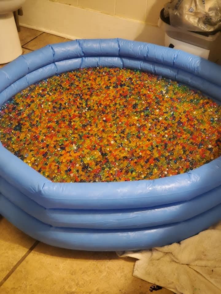 INTEX 59416EP Crystal Blue Inflatable Kiddie Swimming Pool, 45in x 10in customer photo 1
