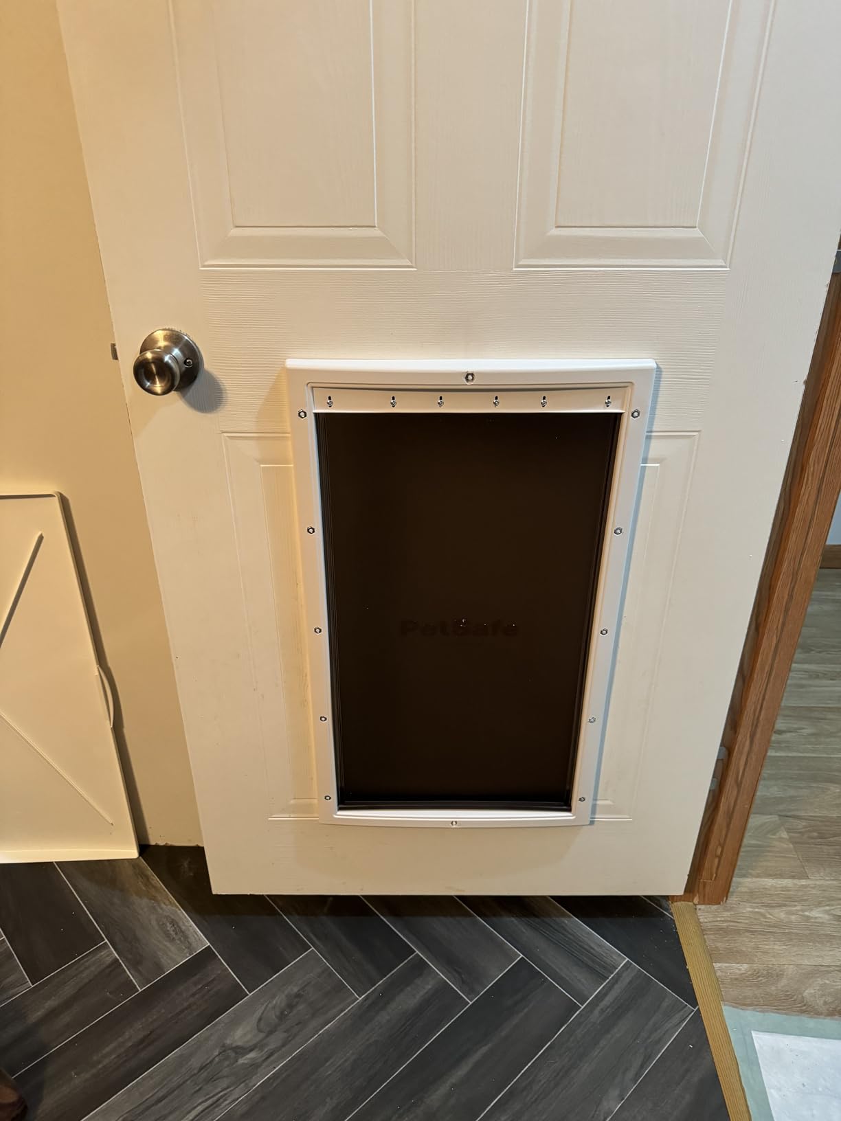 PetSafe Plastic Dog & Cat Door, Pets Up to 220 lb, X-Large customer photo 1