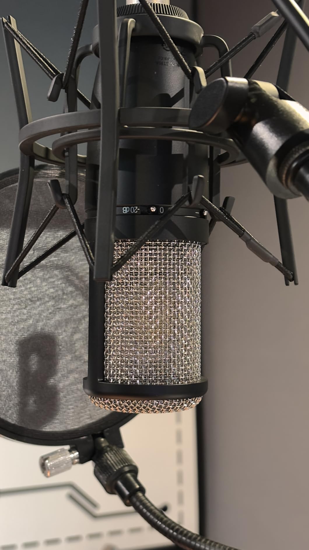 AKG Pro Audio P420 Multi-Pattern Condenser Microphone with Shock Mount and Case customer photo 1