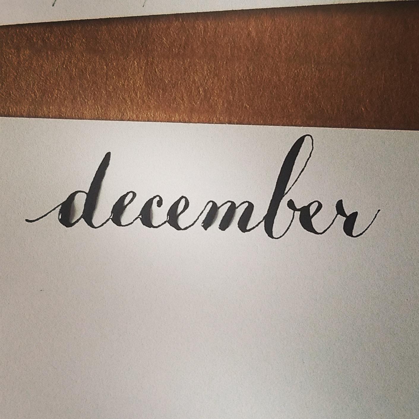 Moon Palace Sumi Ink 180ml customer photo 1