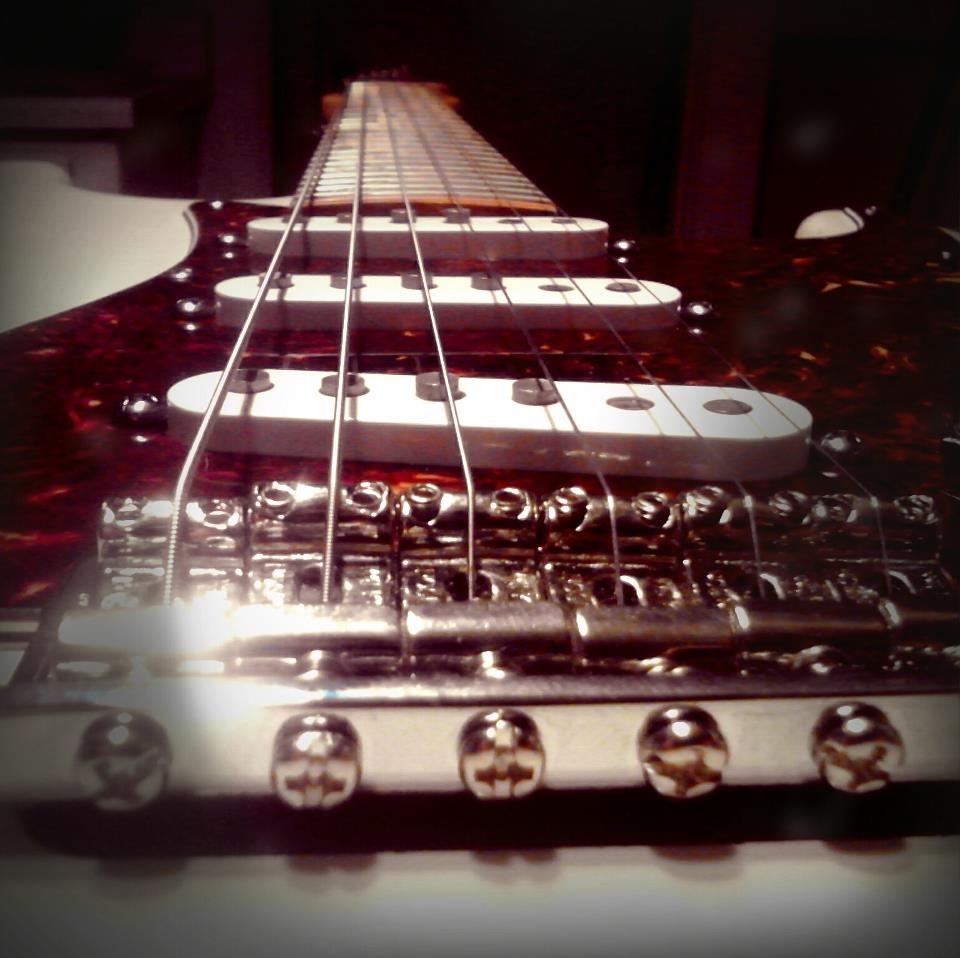 Fender Tex Mex Strat Pickup Set, Single Coil, Alnico 5 Magnets, Reverse Wound, Enhanced Output Warm Tone, 3 Piece customer photo 2