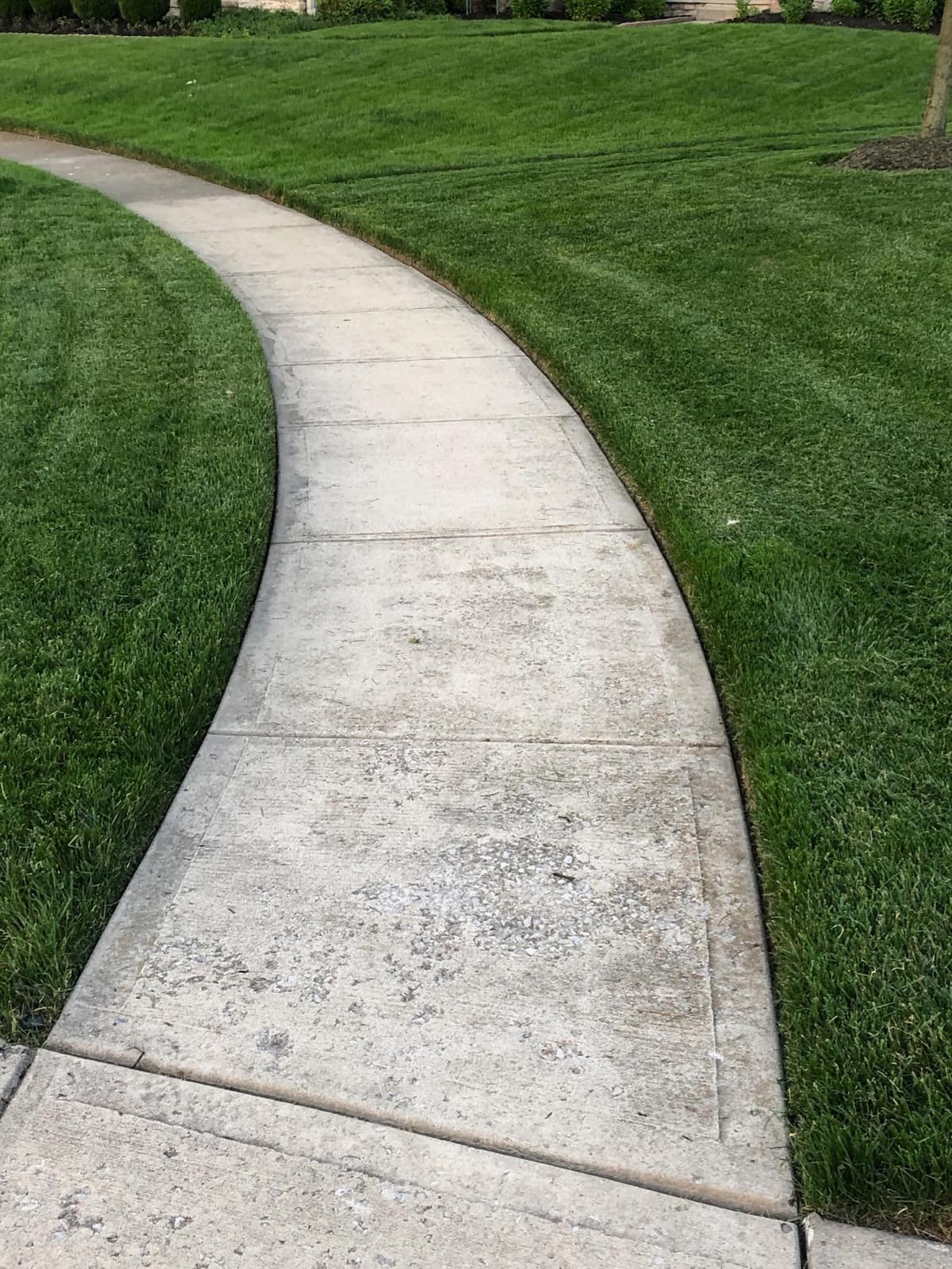 McLane 9 Inch Gas Powered Walk Behind Lawn Edger with 4 Rubber Wheels, 5.50 Gross Torque Engine and Spring Steel Blade, Powder Coat Finish, Red/Yellow customer photo 2