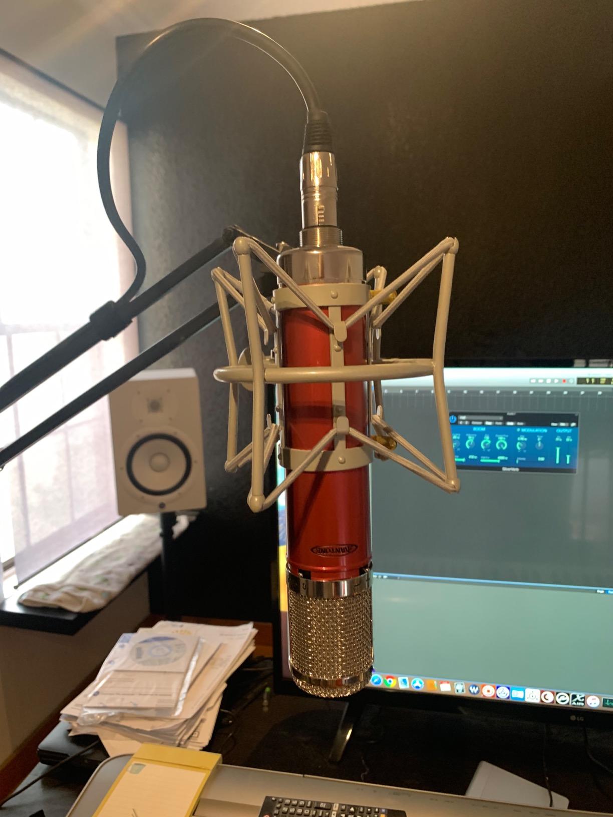 Avantone Pro CV-12 Large-Diaphragm Tube Condenser Microphone customer photo 1