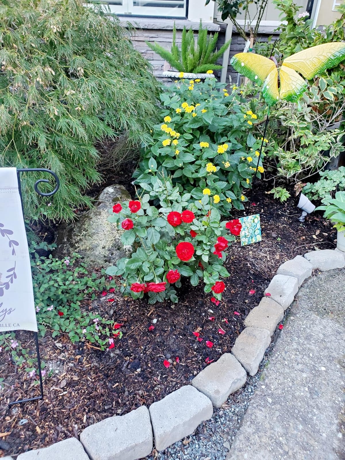 Bobbex Concentrated Deer Repellent, 32 oz. customer photo 1