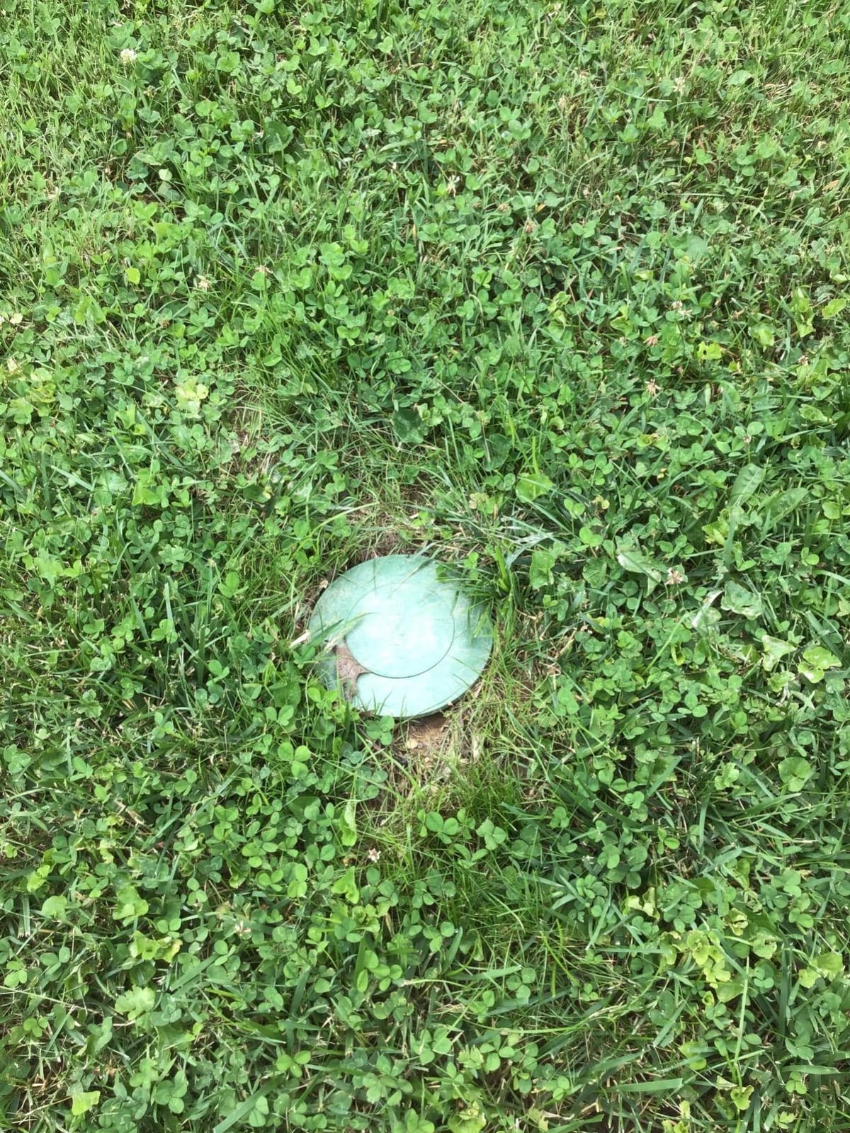 NDS 422G Pop-Up Drainage Emitter with Elbow fits 4-Inch Sewer and Drain Pipe, Works with Drainage Systems Including Catch Basins, Green customer photo 2