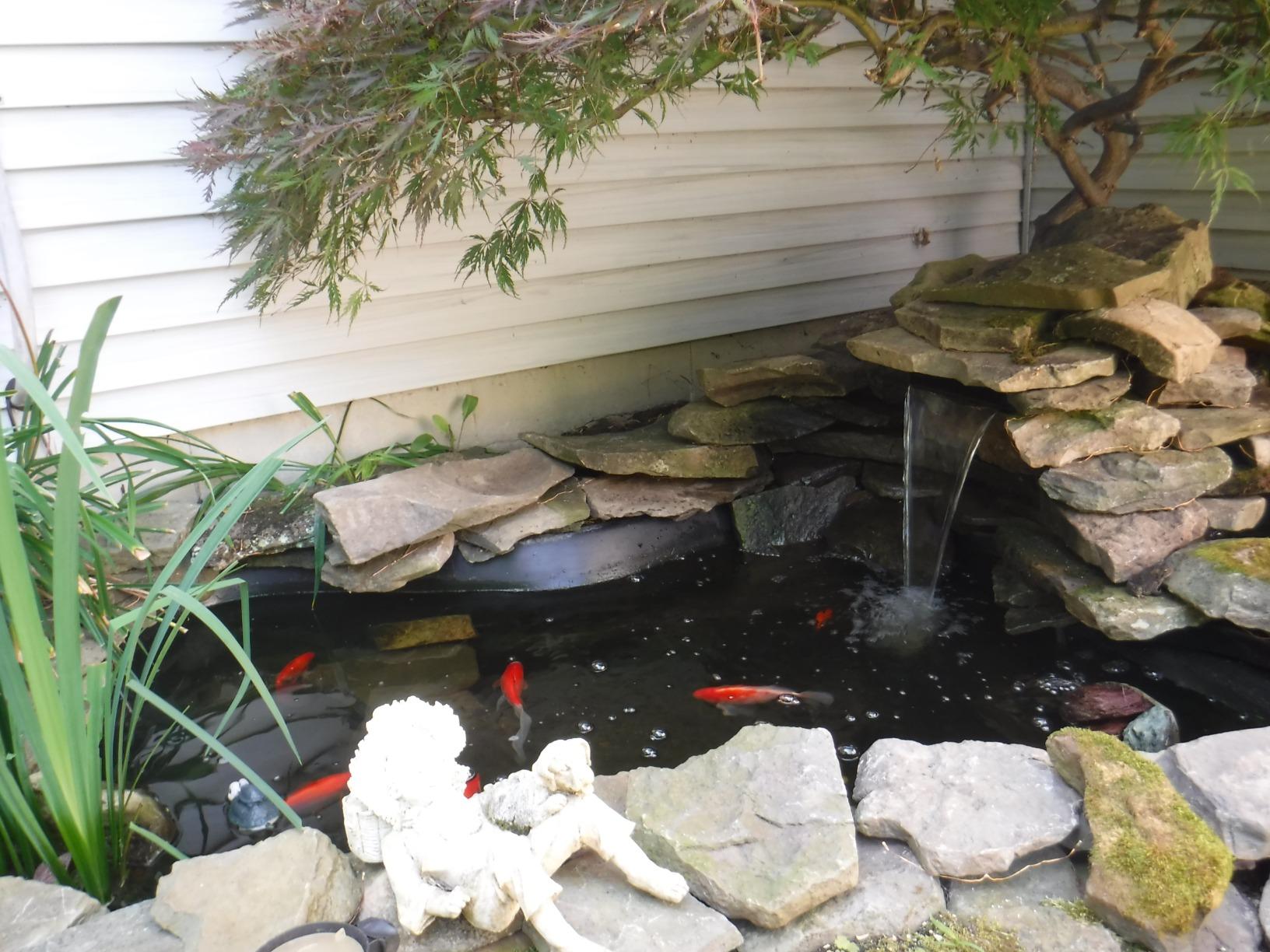 Tetra Pond Water Garden Pump, 1081 GPH | For Waterfalls, Filters & Fountainheads In Large Ponds 500-1000 Gal, Includes 1 Adapter for Tubing, 3 Year Limited Warranty customer photo 1