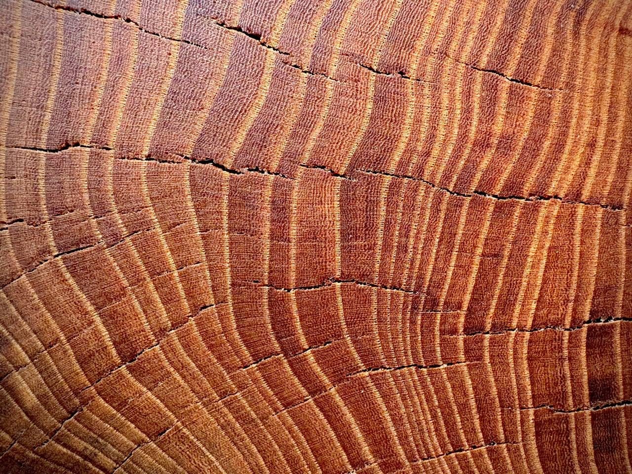 Hope's 100% Pure Tung Oil, Food Safe Wood Finish, 16 Fl Oz customer photo 2