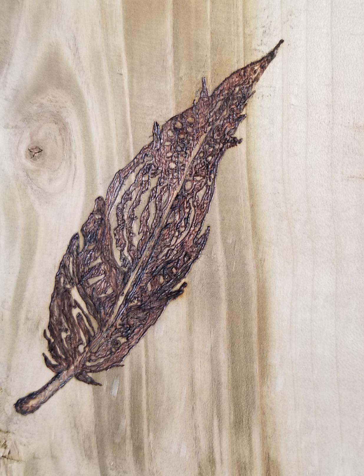 Colwood Super Pro II Woodburning Kit customer photo 2