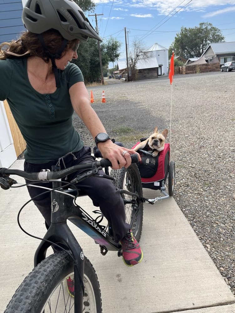 TRIXIE Dog Trailer for Bicycles, Dog Bike Trailer for Small Dogs up to 33 lbs, Quick Set-up and Fold Down, Red customer photo 1