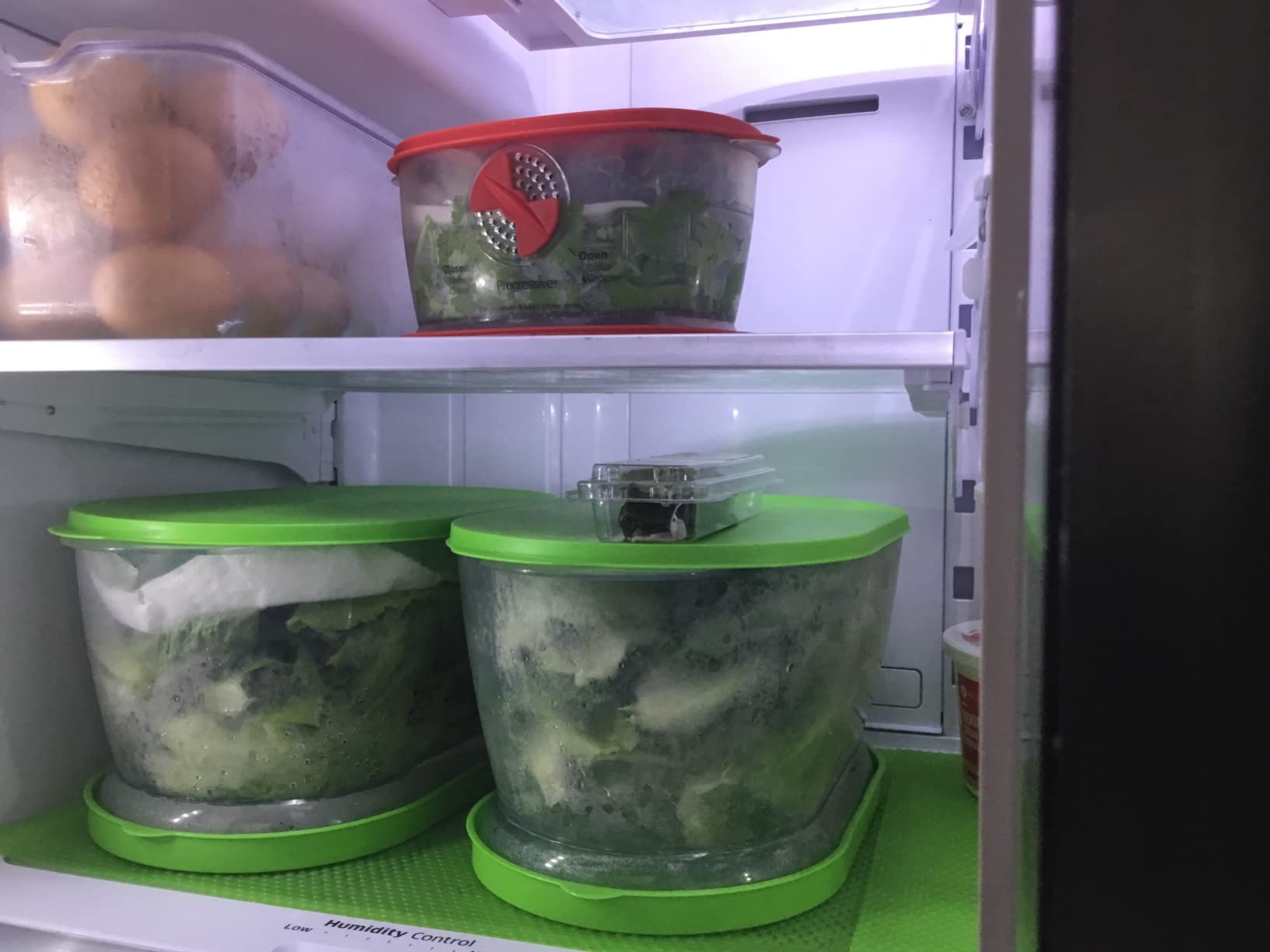 PrepSolutions Fresh Fruit & Vegetable Keeper, Green – Airtight Container with Vent for Prolonged Freshness customer photo 2