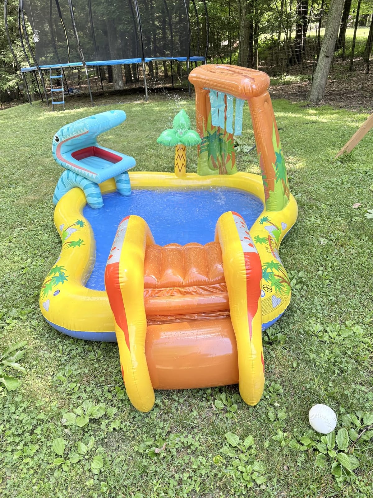 INTEX Dinosaur Inflatable Swim Center & Kiddie Pool for Outdoor Play customer photo 2