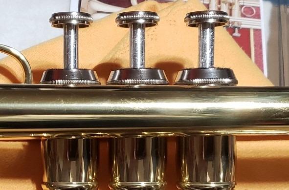 Jean Paul TR-330 Student Bb Trumpet, Two-Piece Yellow Brass Bell, Stainless Steel Valves, U.S. Play-Tested, Gold Lacquer Finish, 7C Mouthpiece and Semi-Hard Case Included customer photo 1