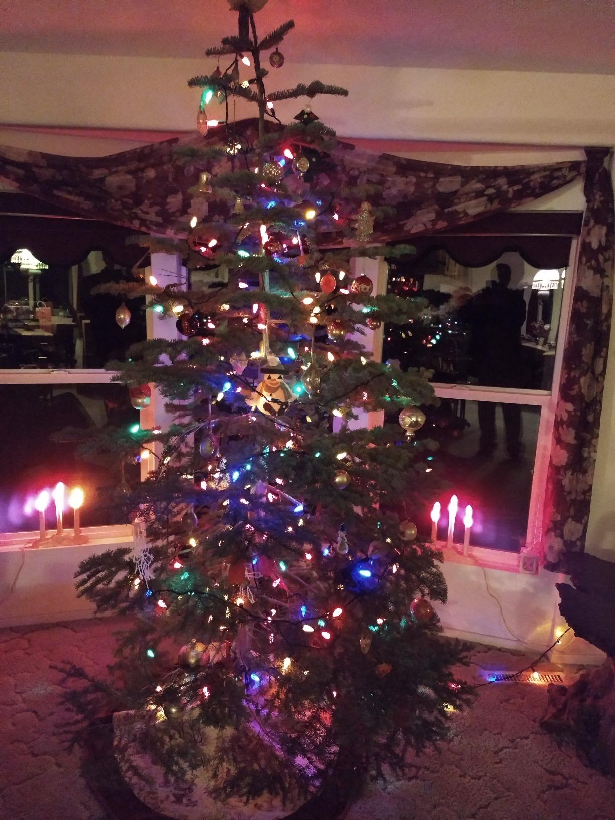 CINCO EXPRESS C-152E 8' Christmas tree stand customer photo 2