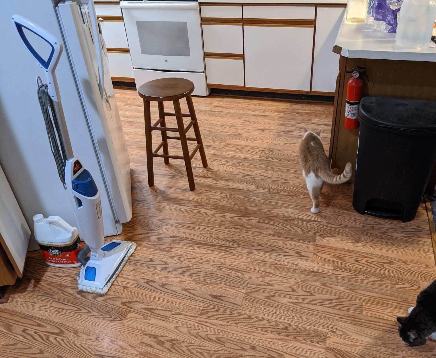 Shark Steam Mop 1940A PowerFresh Floor Steam Cleaner customer photo 2