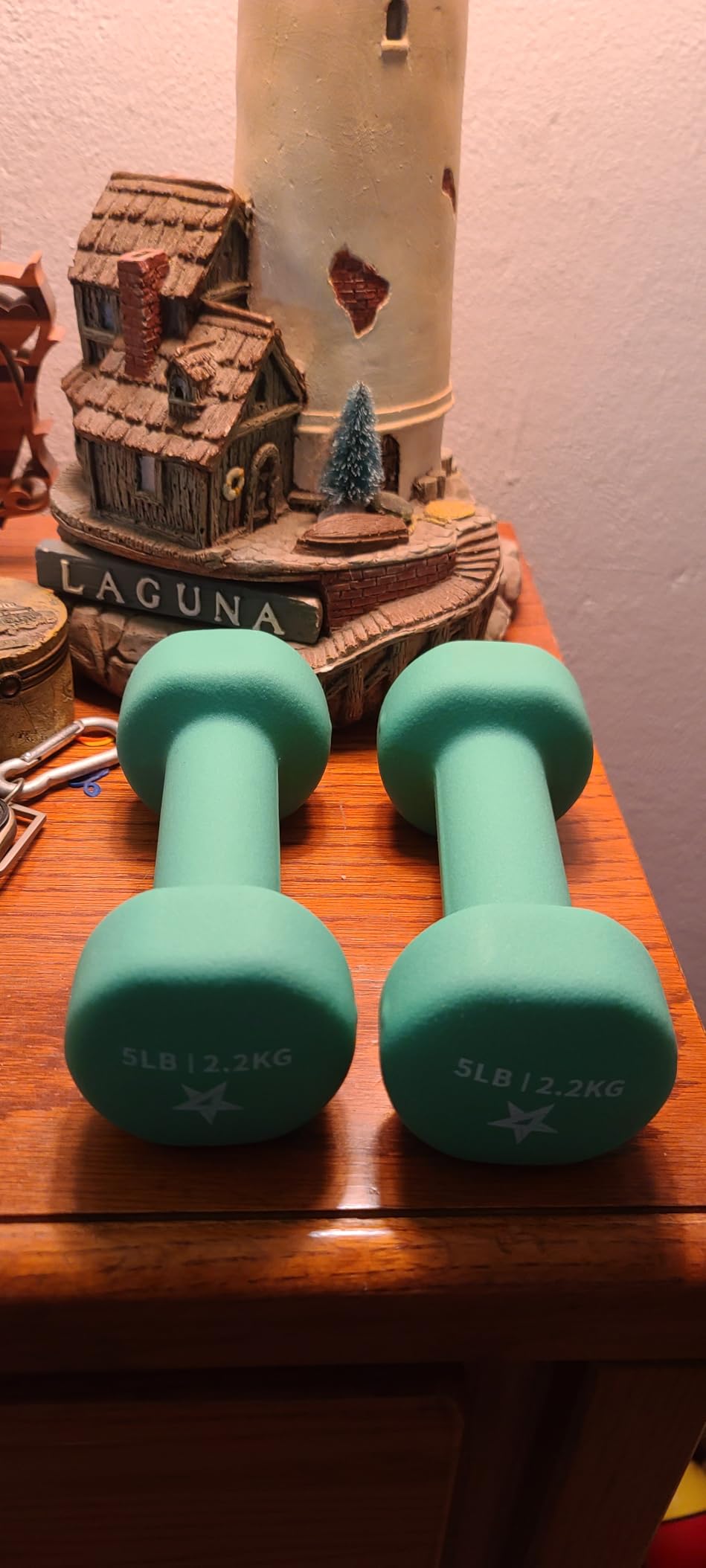 Yes4All Neoprene Coated Dumbbell Hand Weight Sets of 2 - Multiple Weight Options with 15 Colors, Anti-roll, Anti-Slip, Hexagon Shape customer photo 1