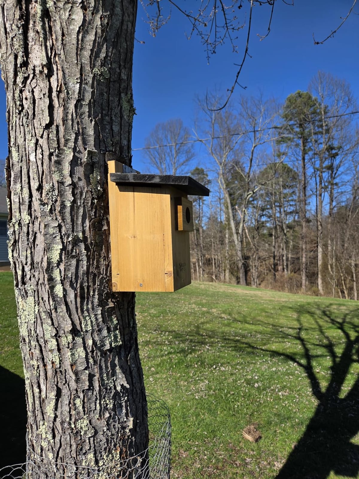 Nature's Way Bird Products CWH4 Cedar Bluebird Viewing House customer photo 1