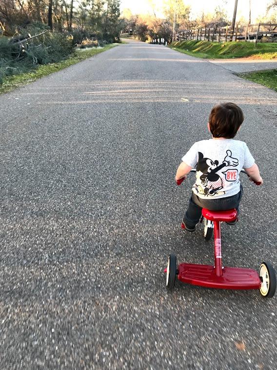 Radio Flyer Classic Red Tricycle, for Ages 2-4, 10