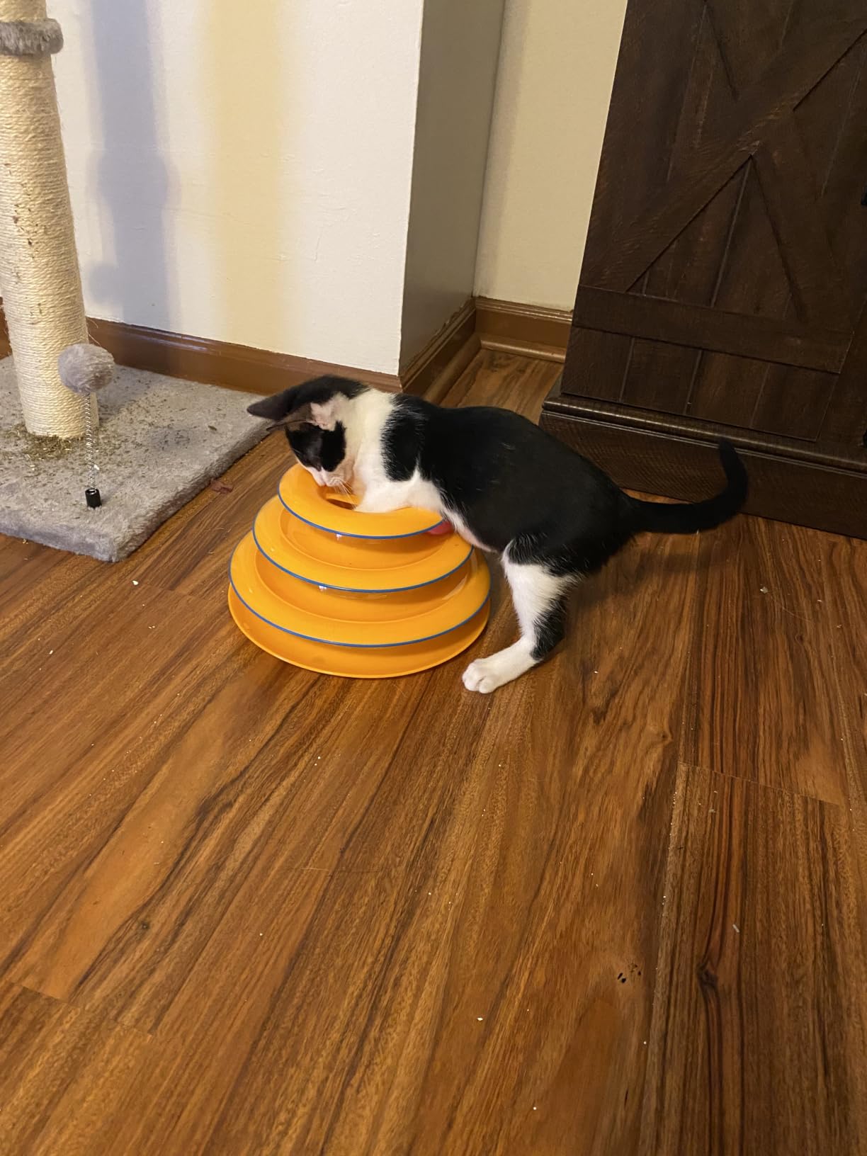 Catstages Tower of Tracks Interactive Cat Toy, 6 Spinning Balls, 10