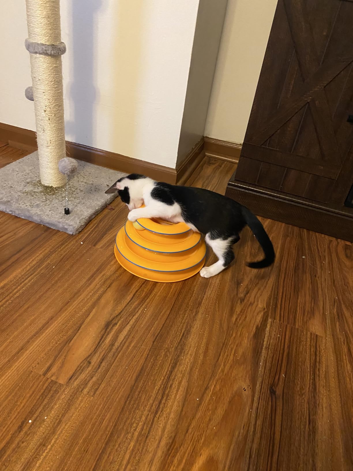 Catstages Tower of Tracks Interactive Cat Toy, 6 Spinning Balls, 10