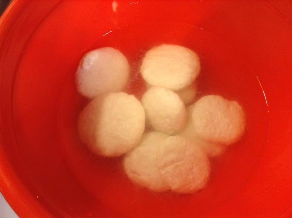 Basic Beginner Cheese Making Kit - Mozzarella, Burrata, Burricota, Chevre, Ricotta, Mascarpone & Butter! customer photo 2