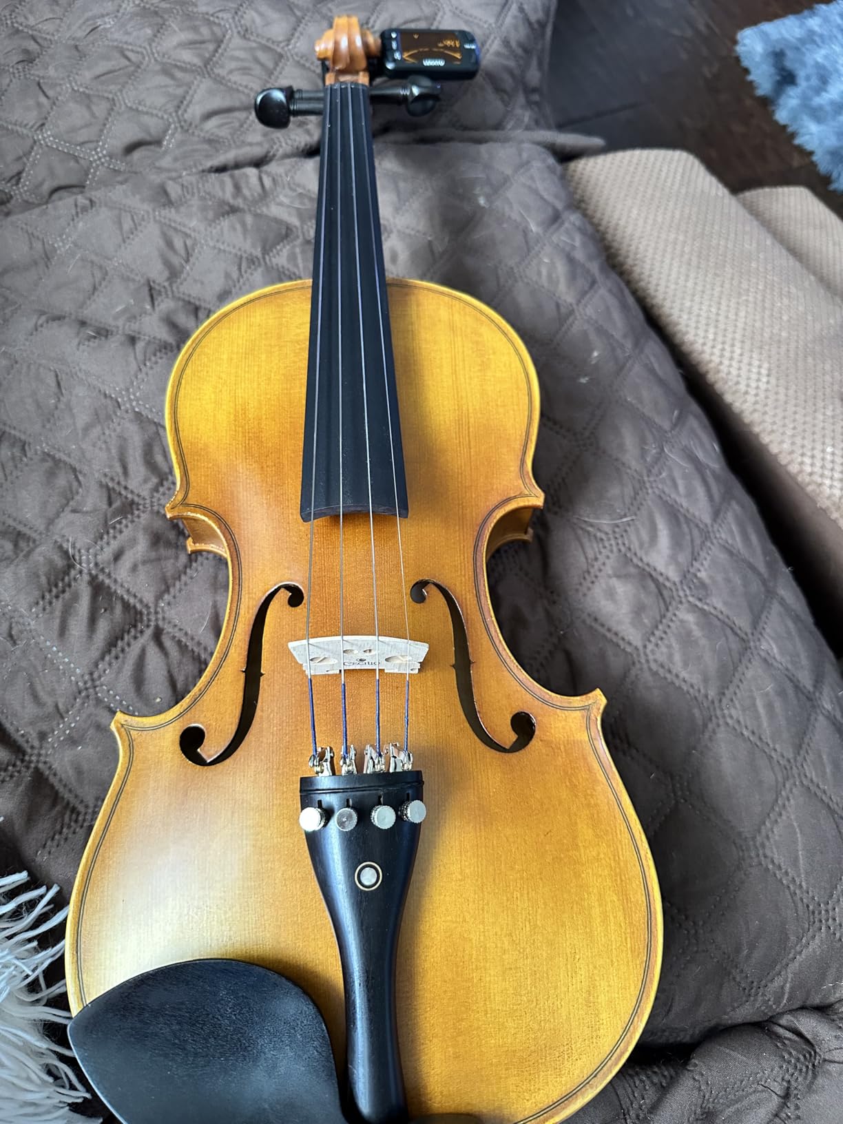 Cecilio Full Size 4/4 Violin with Hard Case & Shoulder Rest - Solidwood Ebony Fitted Violin with Premium Strings, Ideal for Beginners customer photo 2