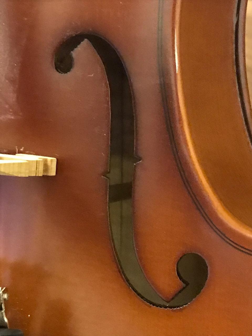 Cecilio Solid Wood Viola 16 Inch Viola Full Size, Professional Handcrafted Acoustic Viola with Ebony Fittings, D'Addario Prelude Strings, Antique Satin Finish customer photo 1