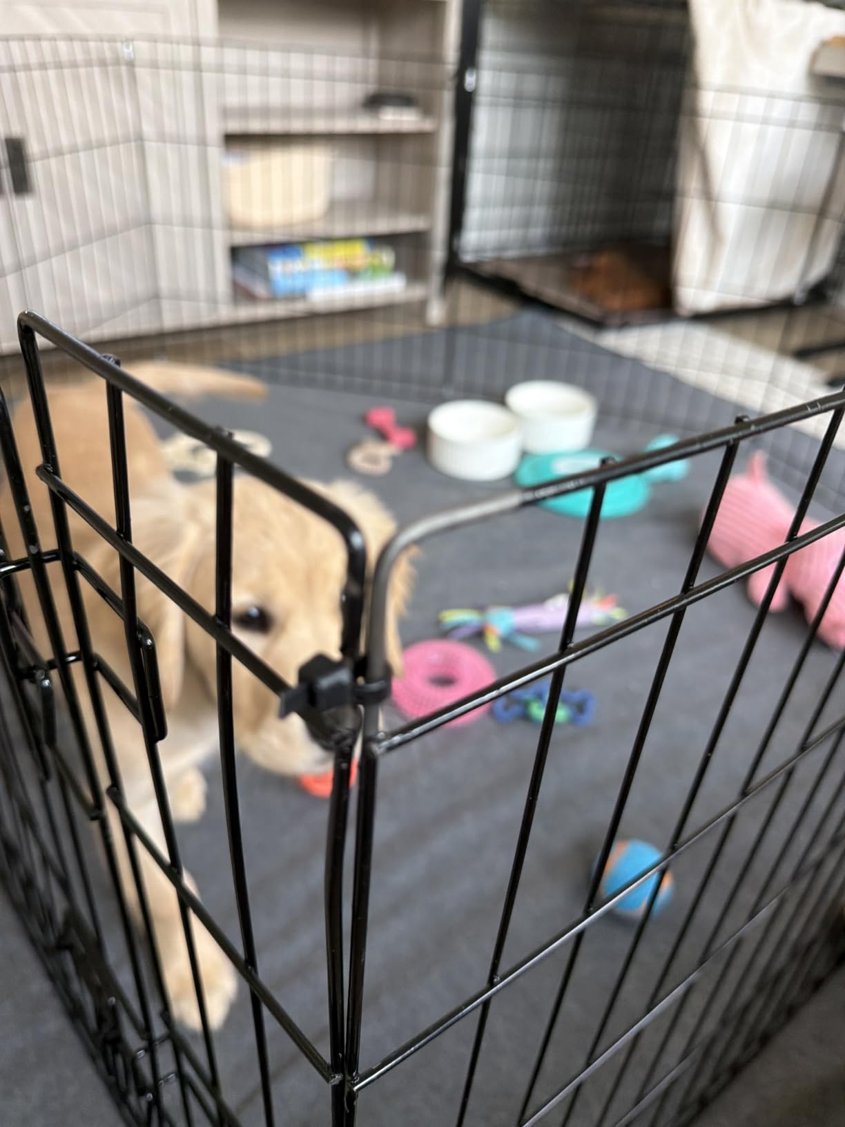 Dog Playpen - Foldable Metal Exercise Puppy Play Pen with 8 24x30in Panels - Indoor/Outdoor Pen with Door for Dogs, Cats or Small Animals by PETMAKER customer photo 2