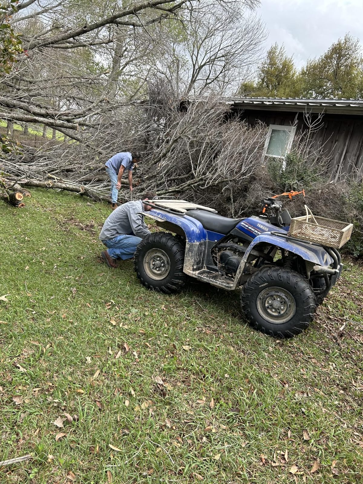 ITP Mud Lite AT Mud Terrain ATV Tire 25x8-12 customer photo 1