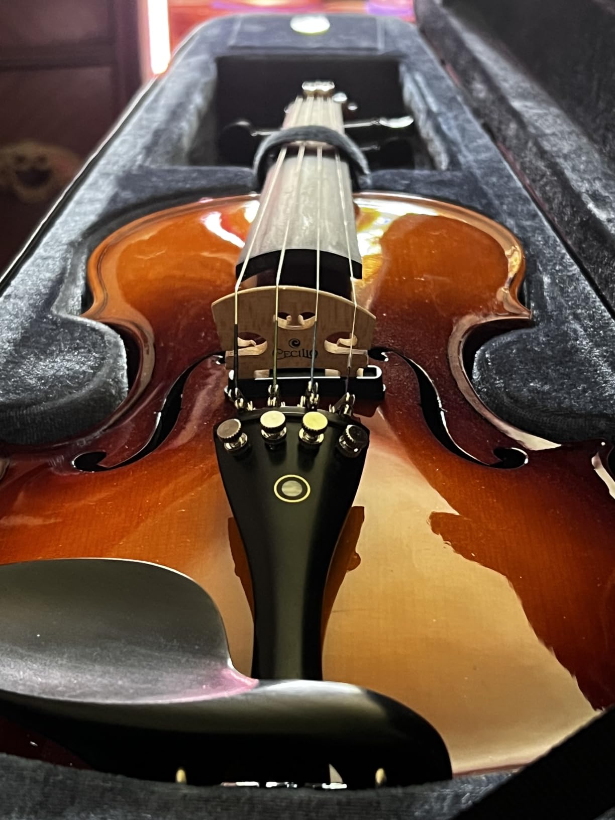 Cecilio 4/4 Full Size Acoustic & Electric Violin for Beginners & Professionals, Hand-Carved Solid Spruce Top, Ebony Fine Tuners, Full Set with Case, Bow, Rosin & AUX Cable (Metallic Black) customer photo 2