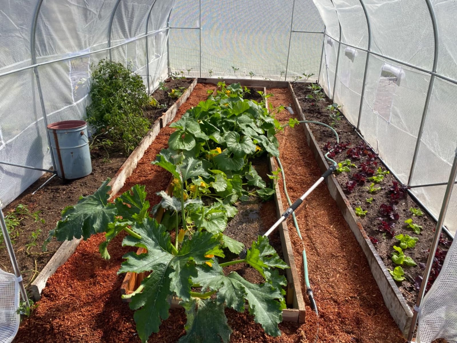 Outsunny 11.5 x 10 x 6.5 ft Outdoor Walk-in Greenhouse Zippered Door Green customer photo 2