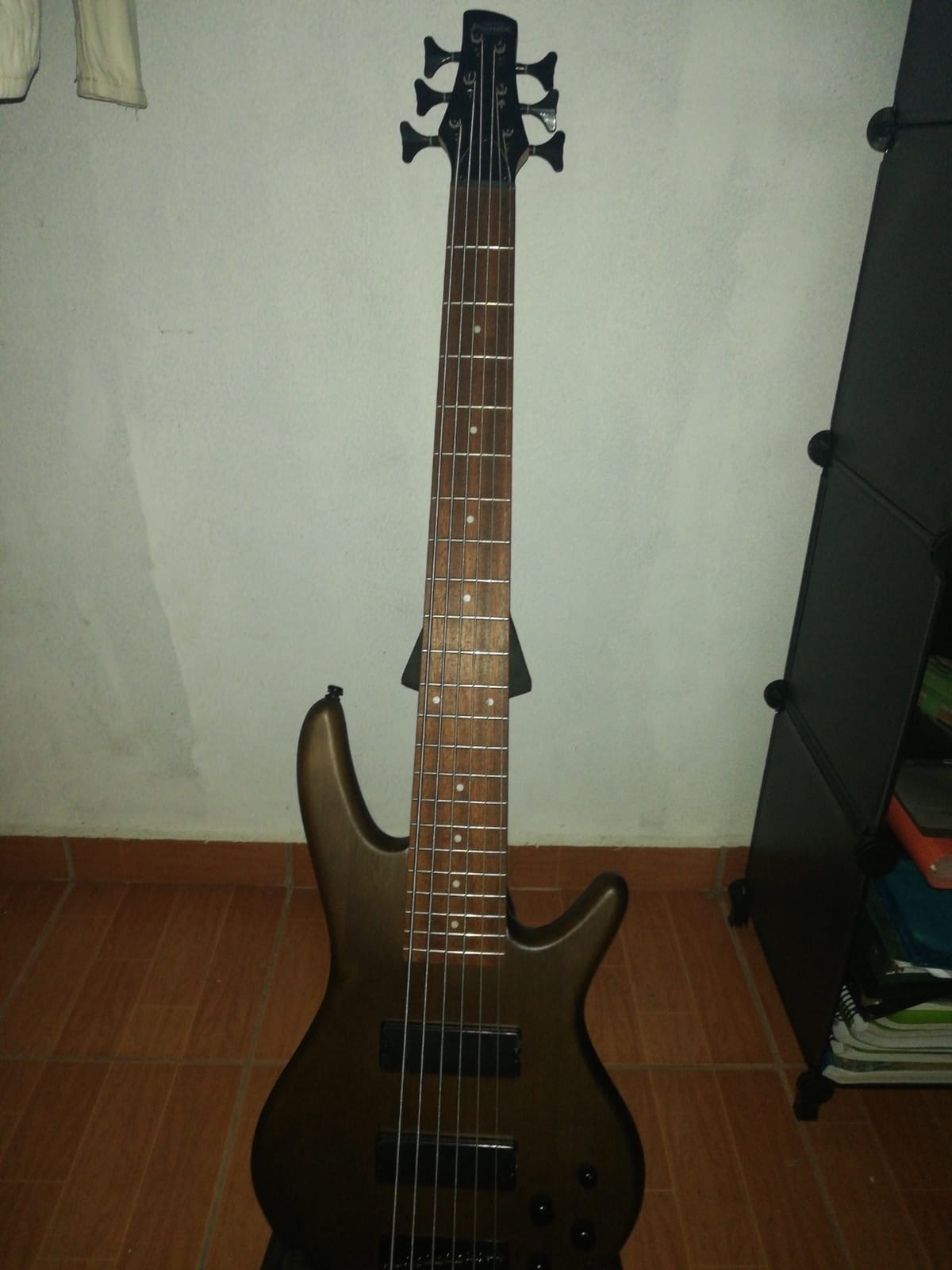 Ibanez GSR206BWNF - Walnut Flat customer photo 1