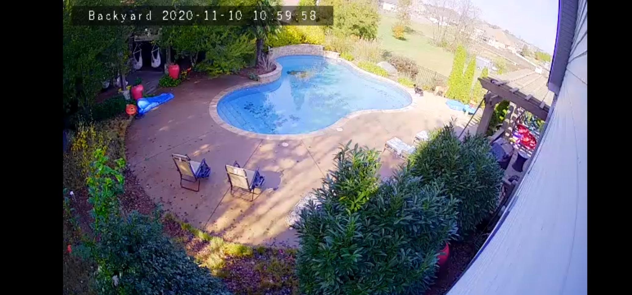 POOL BLASTER Leaf Vac Cordless Hoseless Pool Leaf Vacuum & Skimmer, Battery-Powered Swimming Pool Leaf Catcher with Heavy Duty Mesh Bag, for Inground and Above Ground Pools, by Water Tech customer photo 2