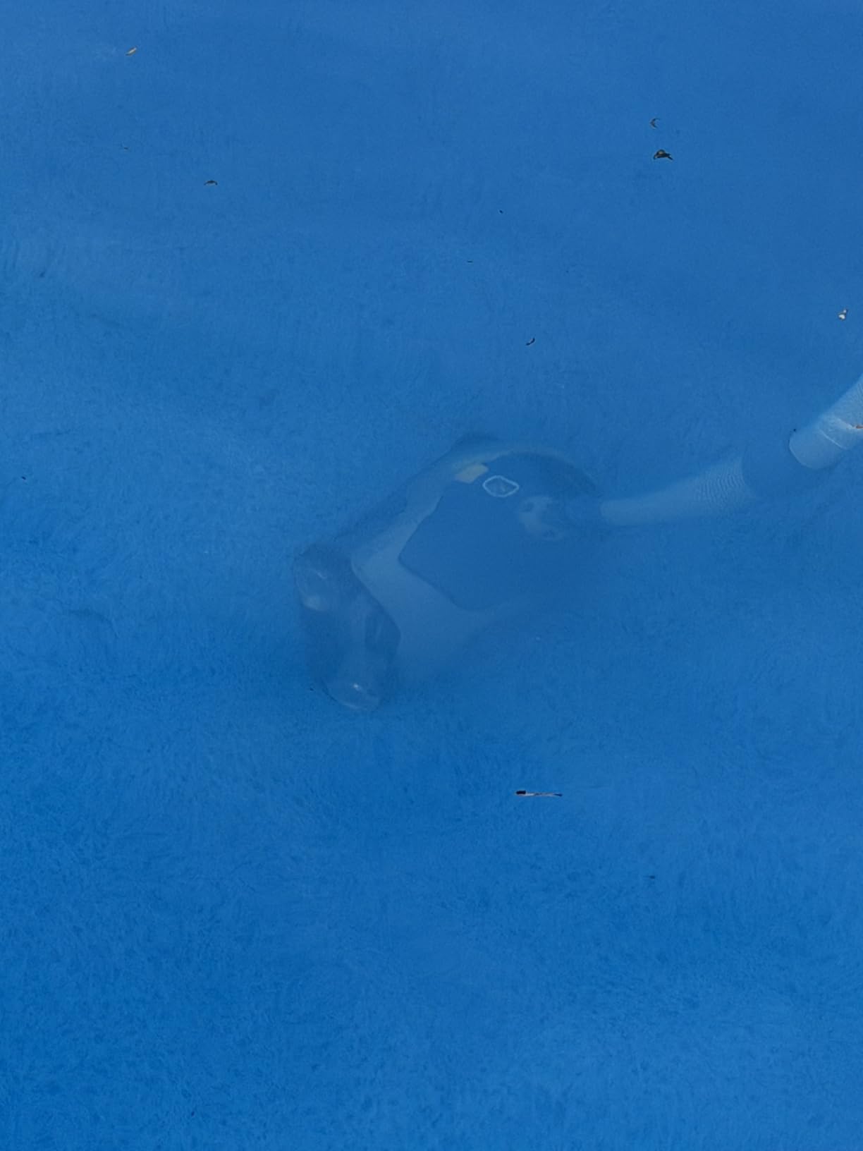 Zodiac MX6 Suction-Side In-Ground Pool Cleaner with Zodiac Cyclonic Leaf Canister, Cyclonic Suction and X-Trax for Extreme Maneuverability customer photo 2