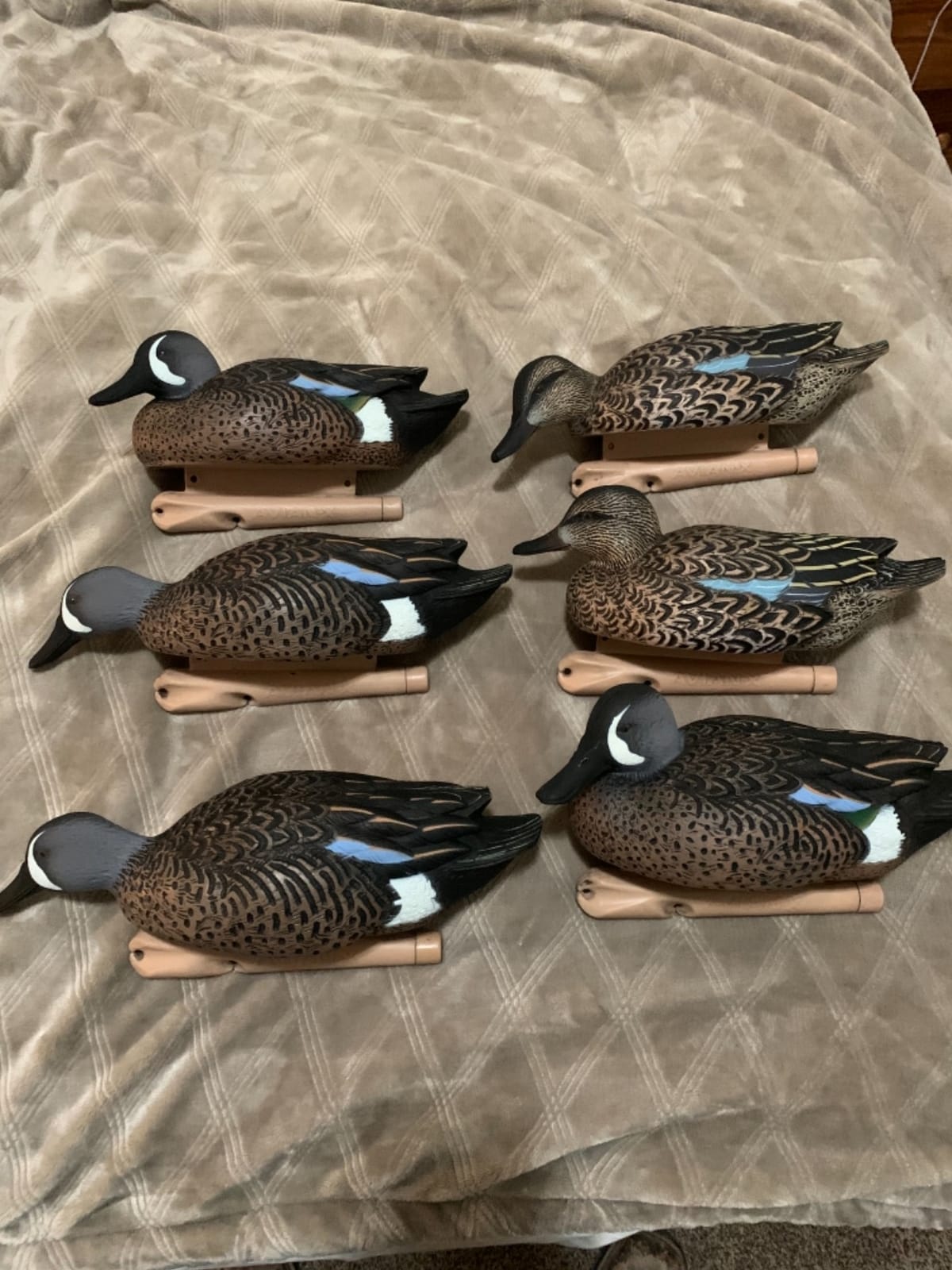 Avian-X Topflight Blue-Winged Teal Duck, Realistic Floating Outdoor Duck Decoys customer photo 1