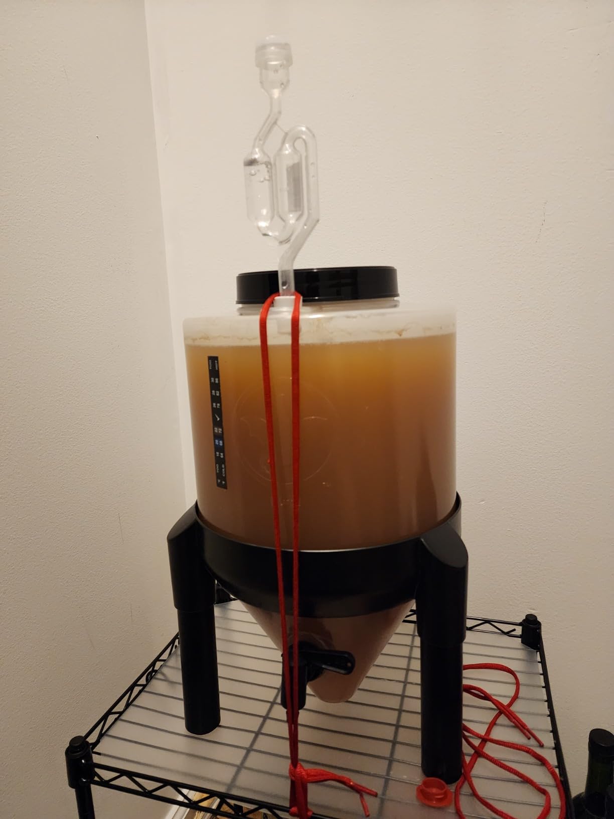Conical Fermenting System - NO AIRLOCK OR Siphon Required - Made of BPA Free Food Grade Plastic that imparts Zero unwanted Flavors into Your Brew! customer photo 2