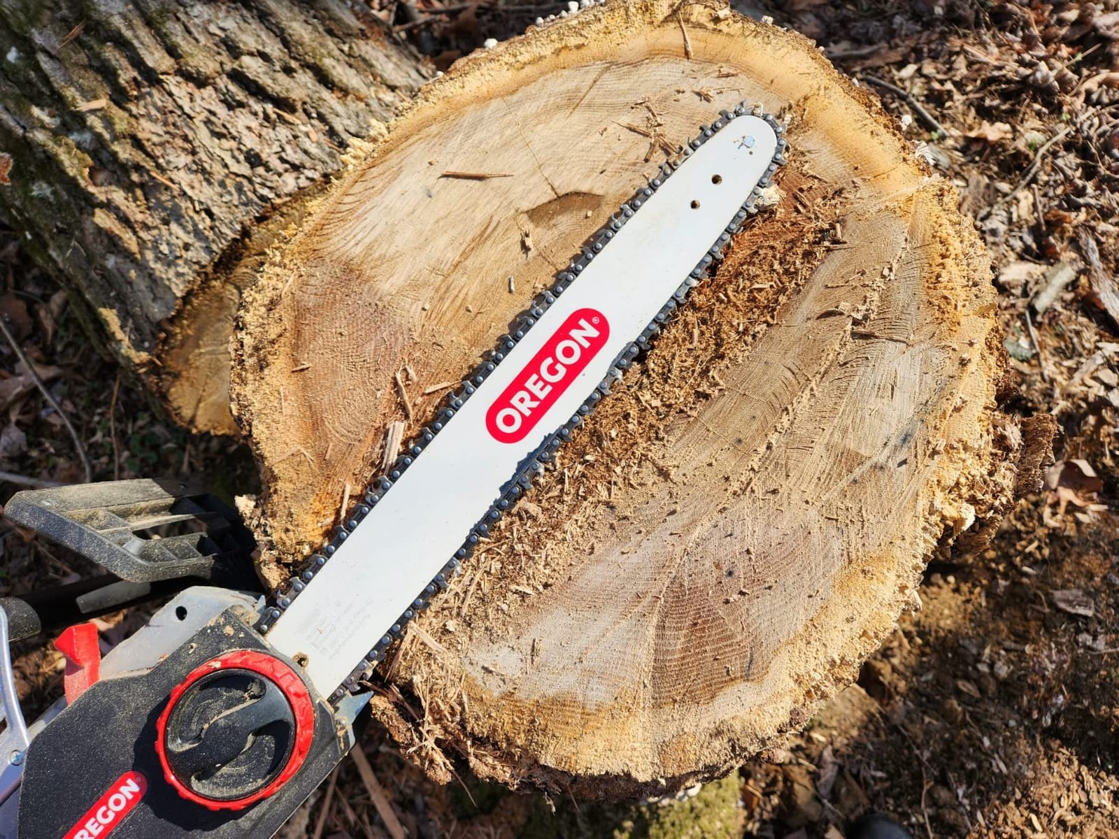 Oregon CS1500 Self-Sharpening Electric Chain Saw | Powerful, 15 Amp, Low Kickback, Self-Sharpening Integrated PowerSharp Chain, Automatic Oiler, 2-Year Warranty customer photo 2